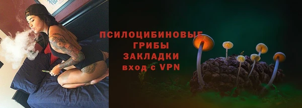молекула духа Армянск