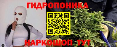 прущие крисы Кинель