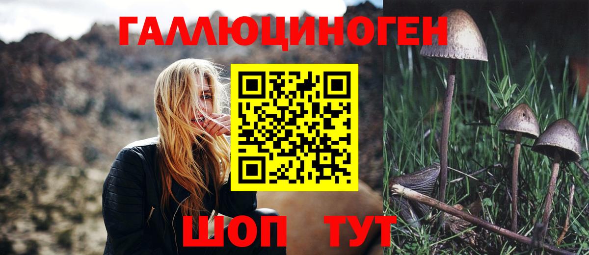 Галлюциногенные грибы Psilocybe Коряжма